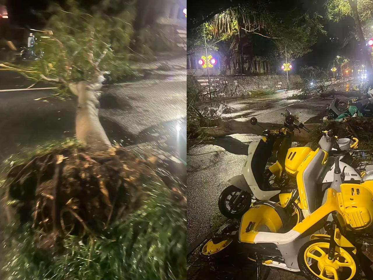台风麦德姆这威力简直绝了！上半夜刚过北海，本以为能安稳睡个好觉，谁能想到