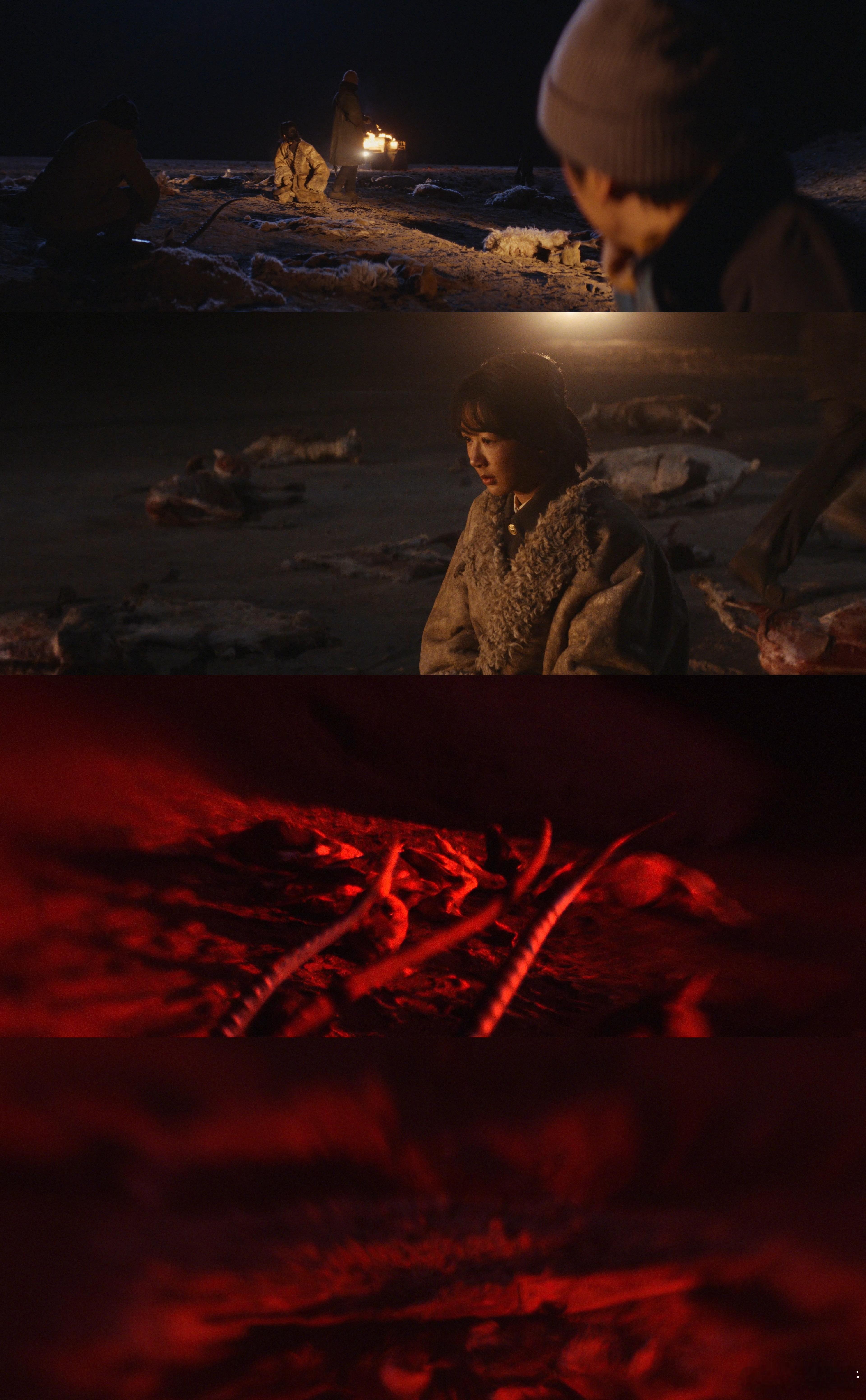 别人经济开发博拉木拉羊皮乱扒为巡山小队捏一把汗！《生命树》里他们闯险地、正面刚