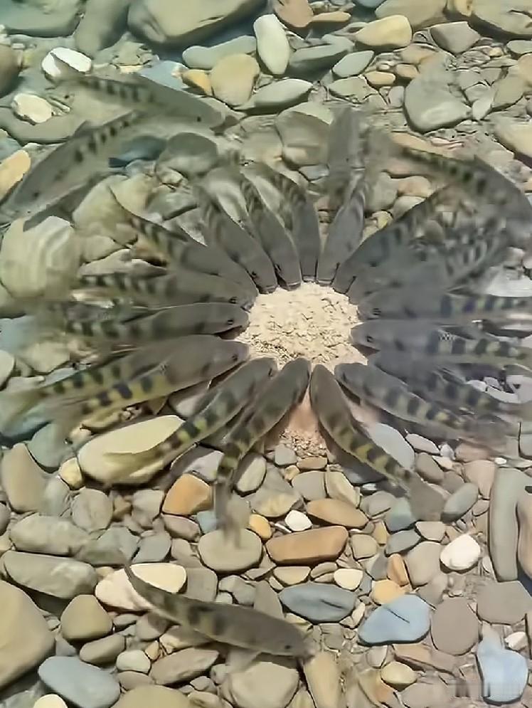 男女两个人相识相恋结婚，不怕分手，不怕没有天长地久，就怕想分手都分不了，一方占有