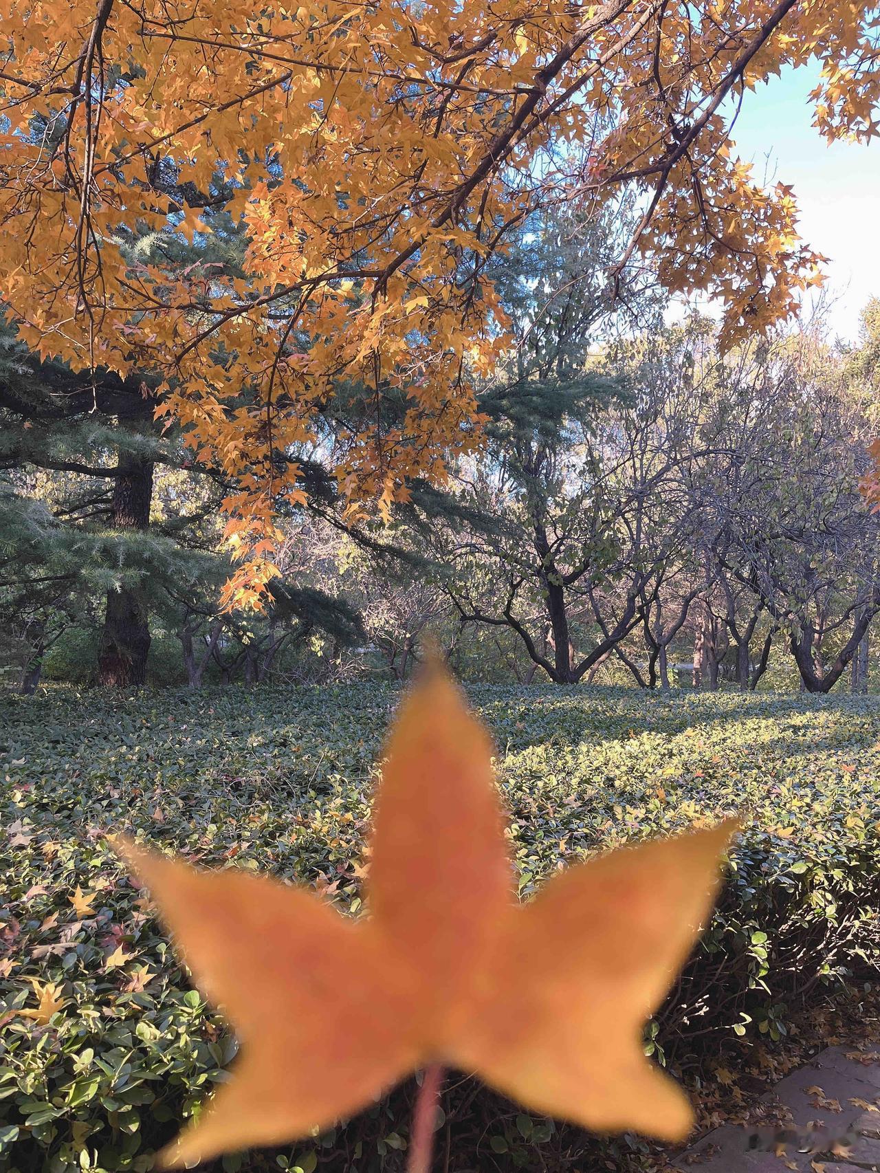 一个朋友说我60多岁了，现在活着真没啥乐趣了，说实在的，连钱和女人都没兴趣了，看