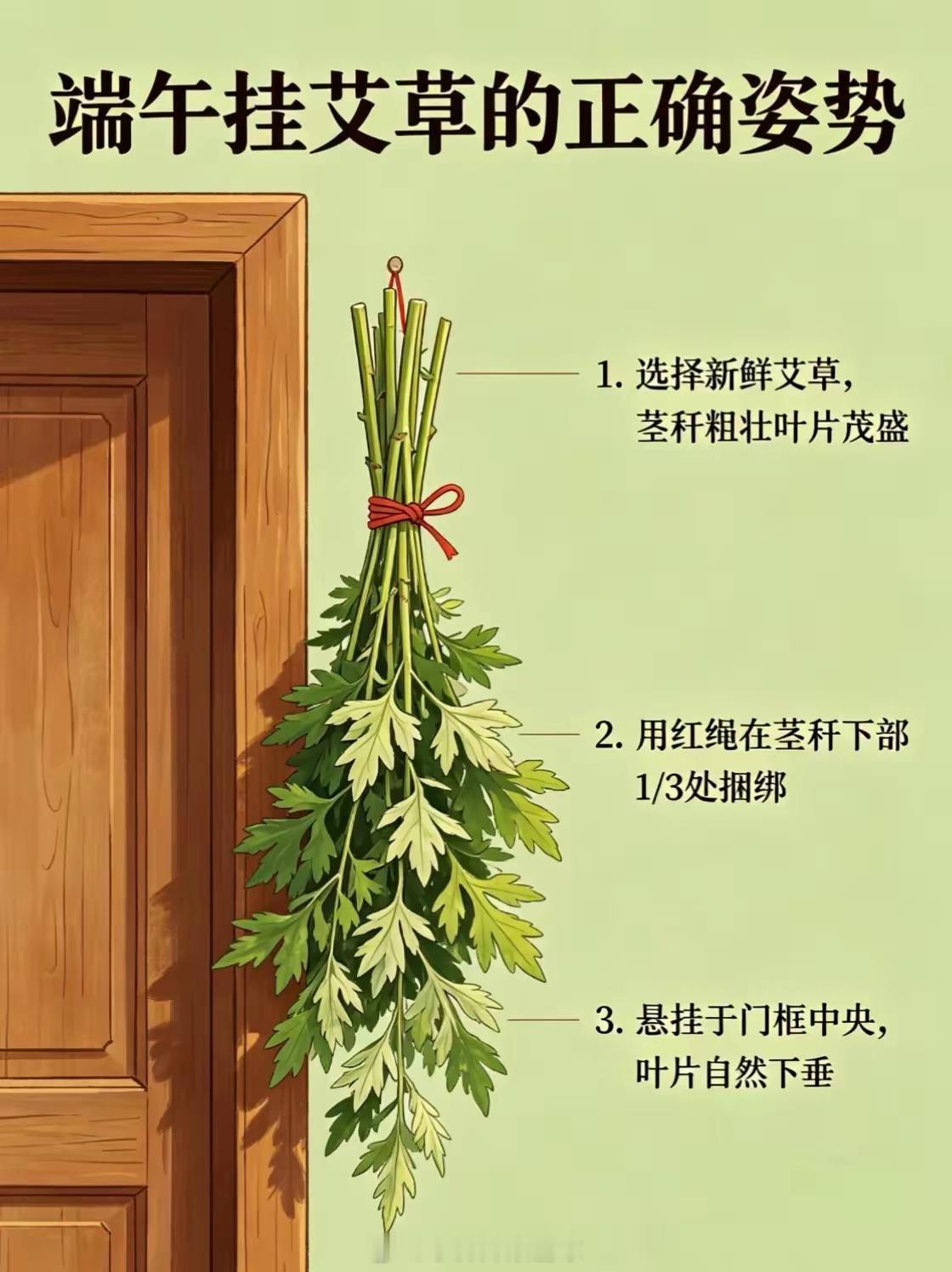 端午节挂艾草有哪些讲究一、选艾草：挂鲜不挂干要：新鲜带根、翠绿肥厚、带晨露、未