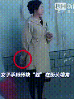 “这不得上热搜！”河南郑州，一女子手里紧紧握着砖块，躲在墙角，目光一直盯着路面，