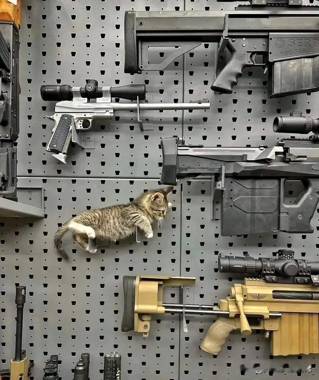 丧尸末日，请挑选一把武器保命。​​​