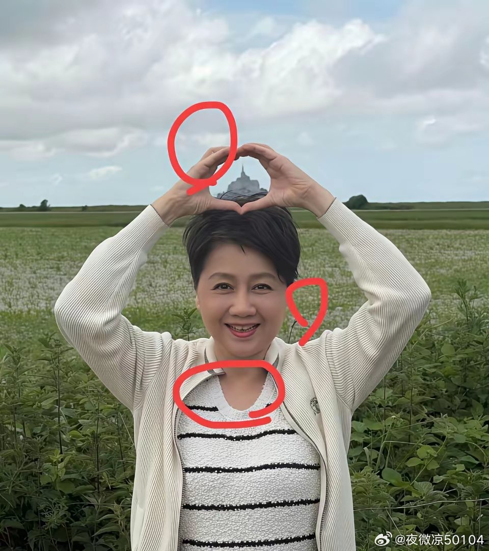梁安琪是很多人的梦想婆婆不是因为她有钱，也不是因为她大方你看她参加儿子...
