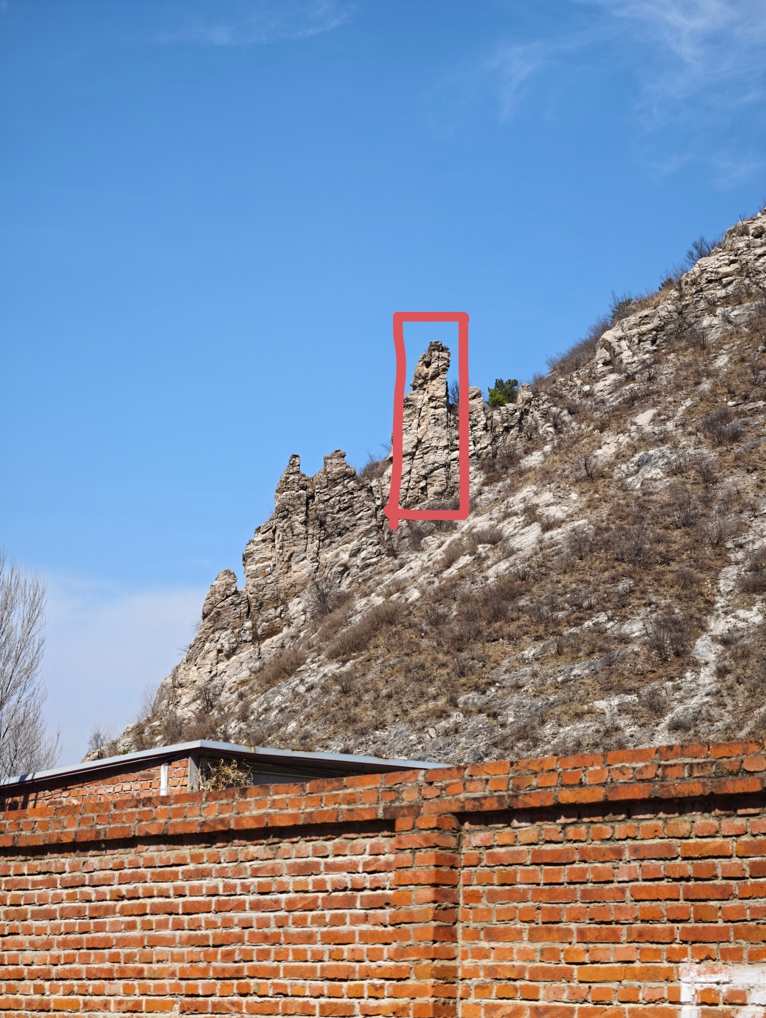 vivoX300Ultra第一张是2亿像素原图第二张是第一张放大后的截图第三