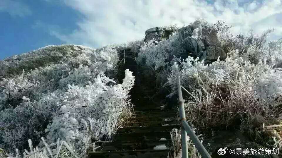 这几年来，广东人赏雪最喜欢两个景区，一个是清远金子山，另外一下也是“清远”云冰山