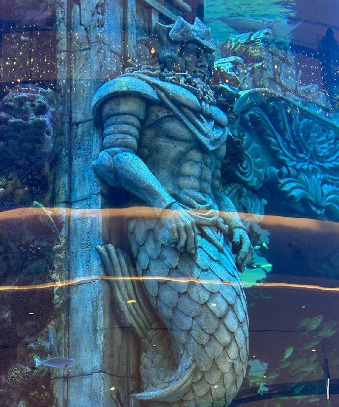 打卡重庆光环购物公园和星光68！这里绿意盎然像森林，水族箱里鱼儿自在游，简直太