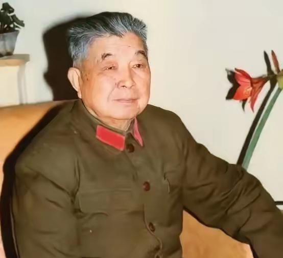 1953年，西康军区司令员刘忠，得知母亲和原配还在世，便携现任妻子回乡，当他看到