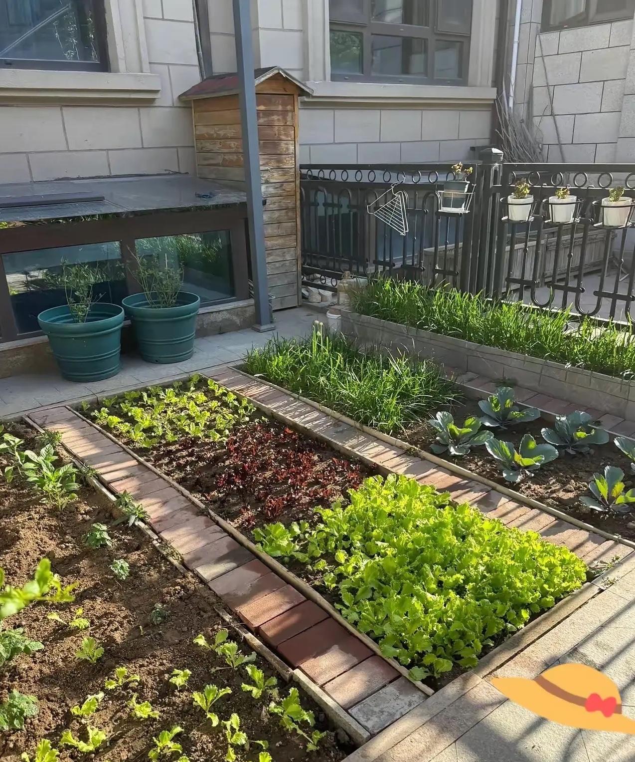 这几天刷到香港江源集团吴镇明的事儿，心里真不是滋味。一个七十岁的老头，手底下跑