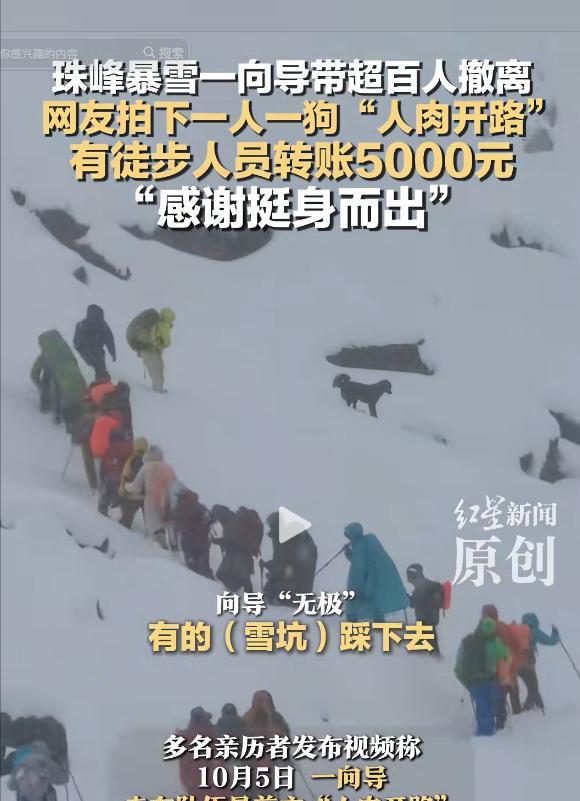 西藏珠峰突发暴雪，一向导冒“死”带百余人雪中撤离，还把狗派到前面带路，历经9个小