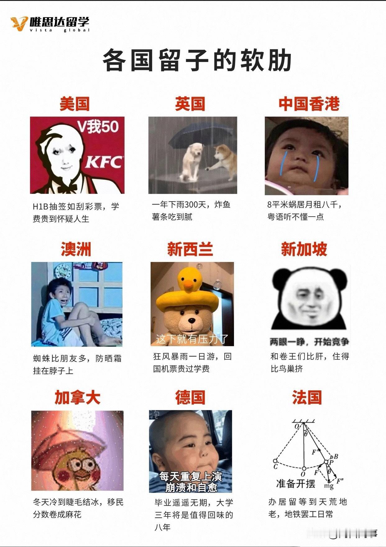 各国留子的软肋