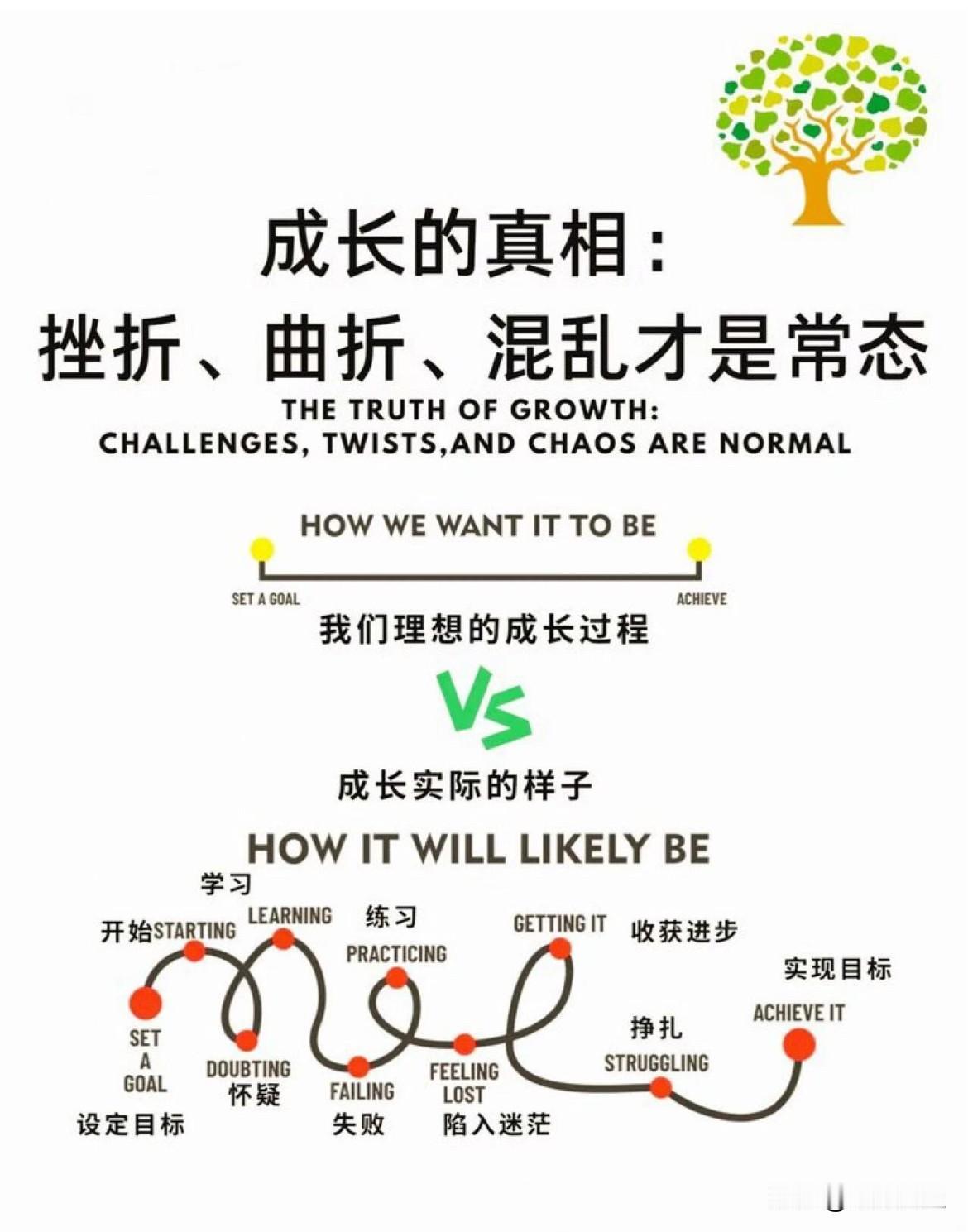 这才是成长的真相