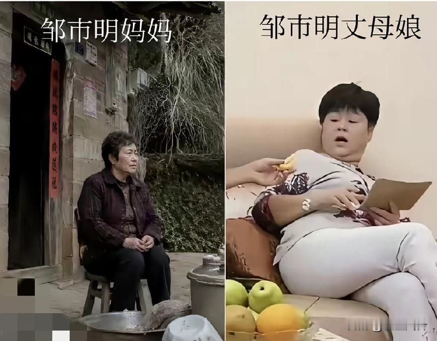 邹市明这个2亿的上门女婿，到底该不该被同情，你们怎么看？两公婆是双向奔赴，谁