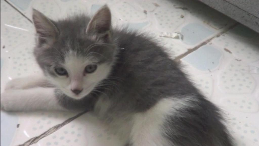 7478140149317092783.jpg?id=0