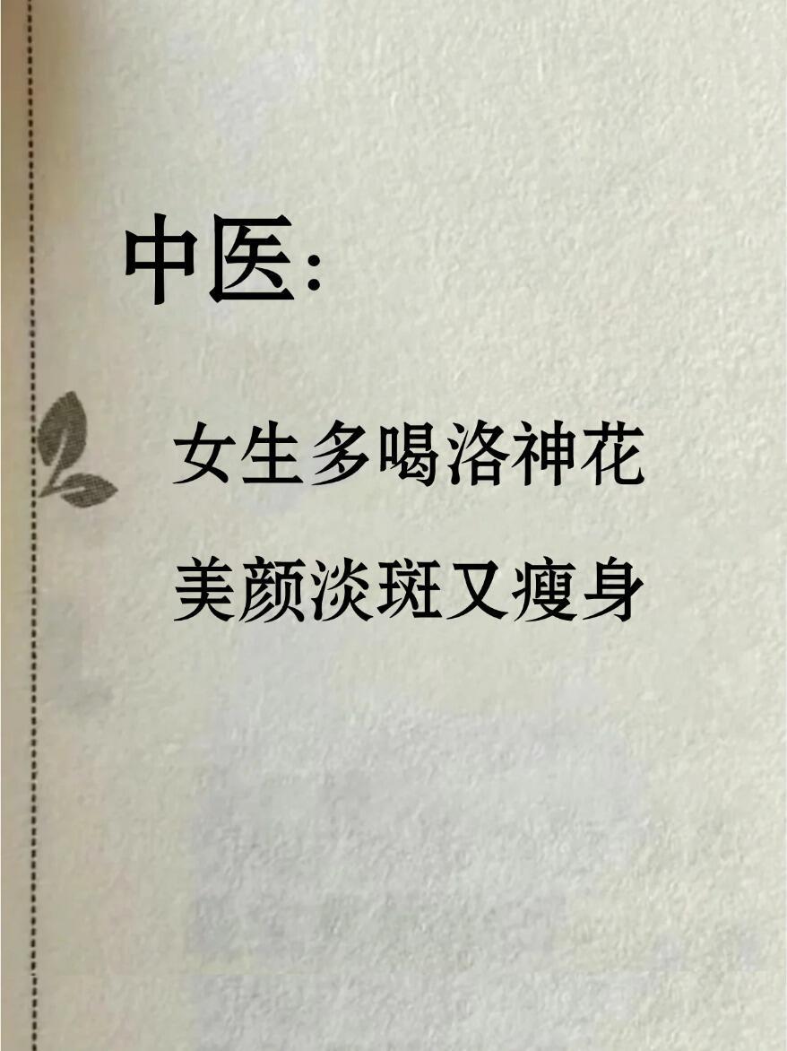 洛神花的八大绝妙配伍！养颜祛斑，轻身健体！在中医的世界里，每一味药材都蕴含着自然