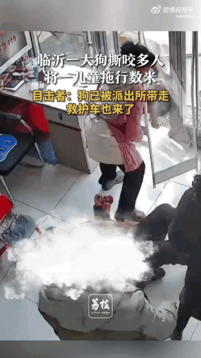 我的天，小孩被大黑狗咬住衣服从家长怀里往外拽的那一刻，大人死死抱着孩子不撒手，狗