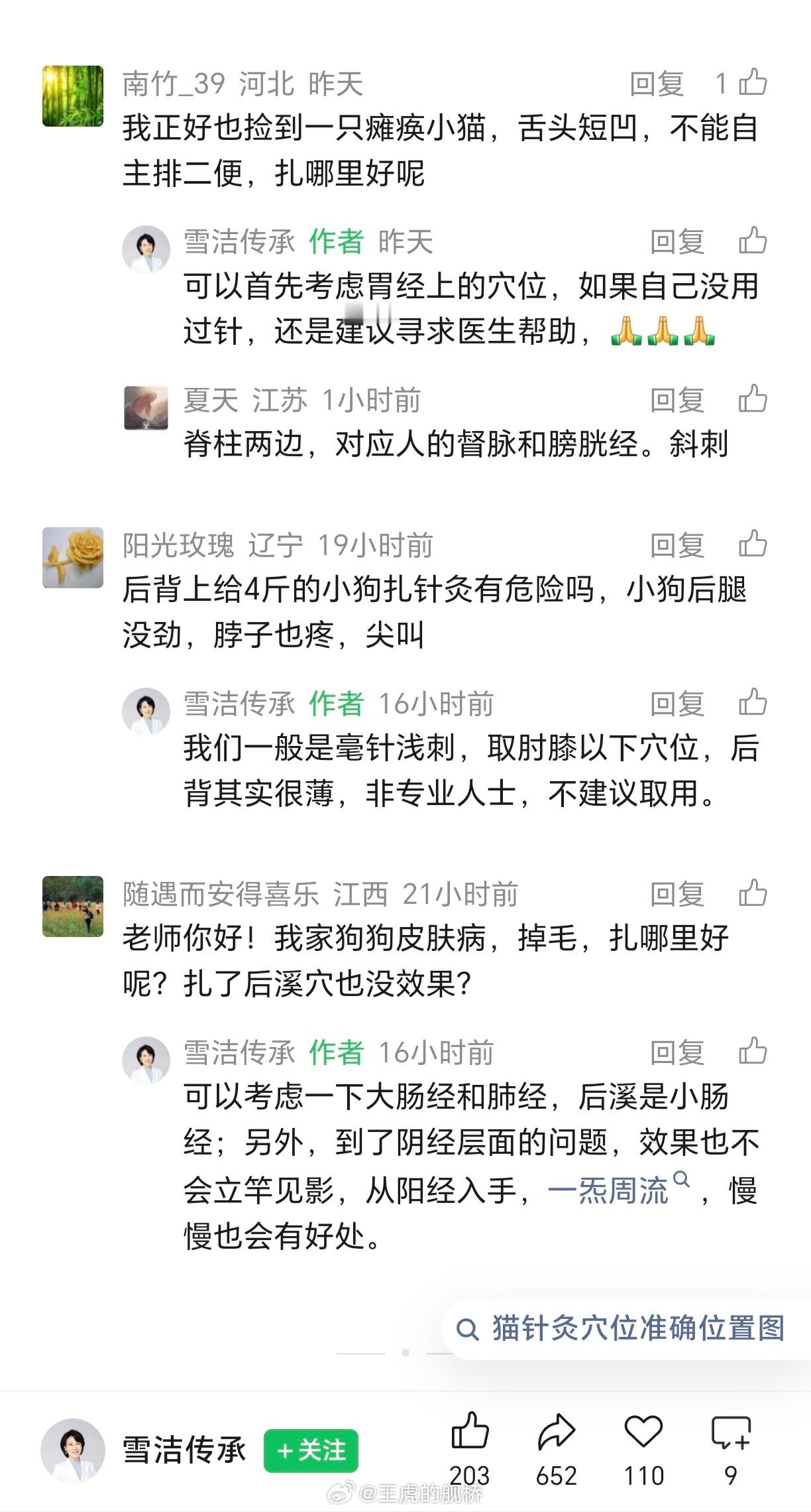 某种猫狗专供恐怖片…😨
