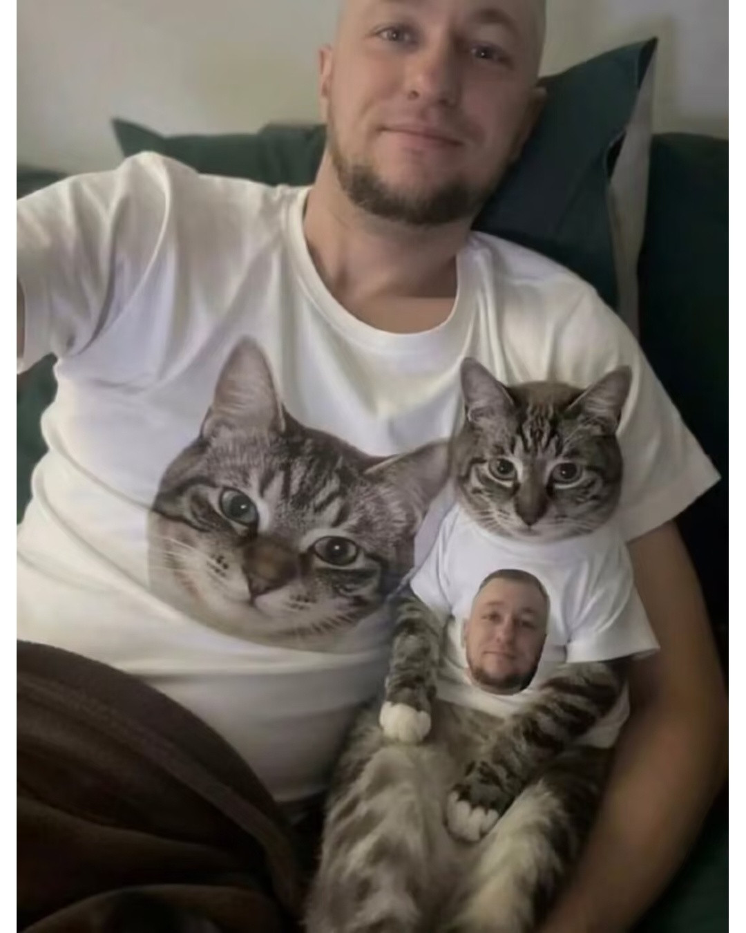 一些小猫meme