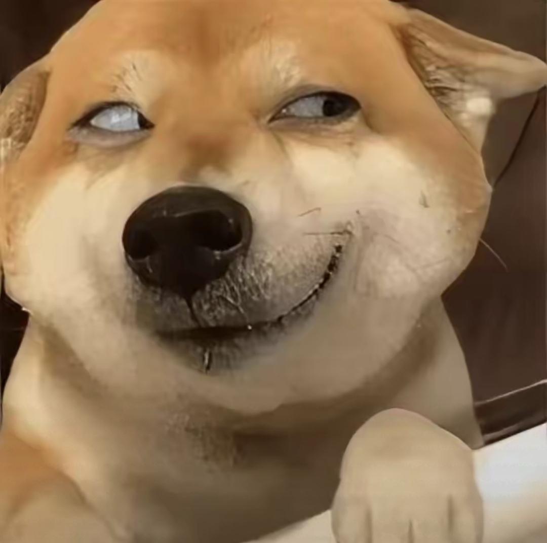 高速服务区停车难，司机不是不想停，是真不敢乱停。昨天在沪昆高速桐乡服务区，我亲