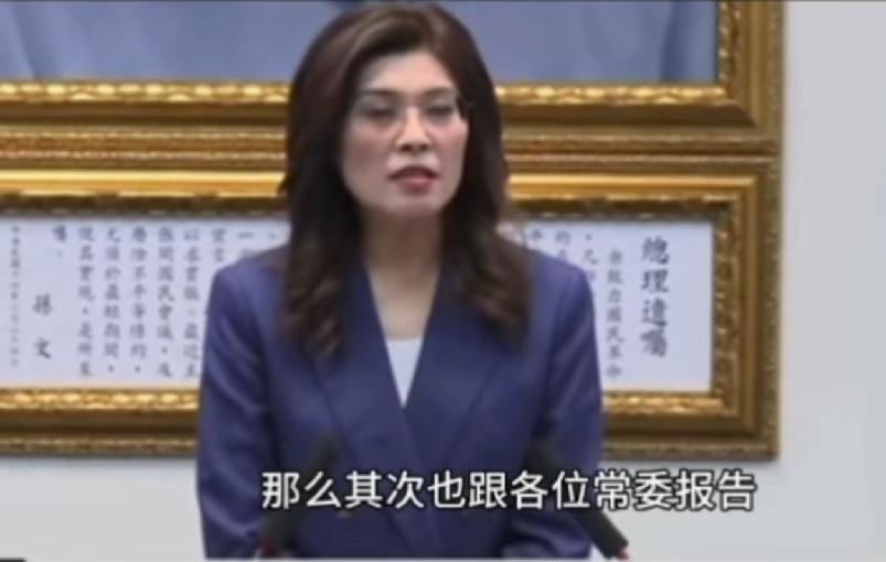 郑丽文赴美前定调，宪法就是国民党的DNA，两岸和平不容任何人破坏郑丽文今天在