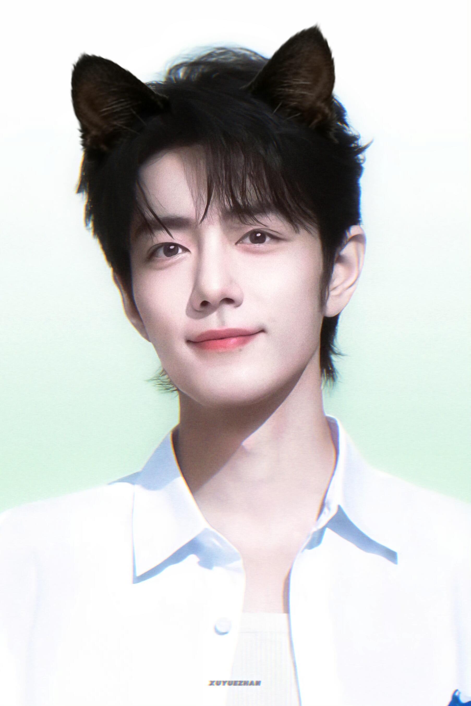 好漂亮的小猫咪🥰