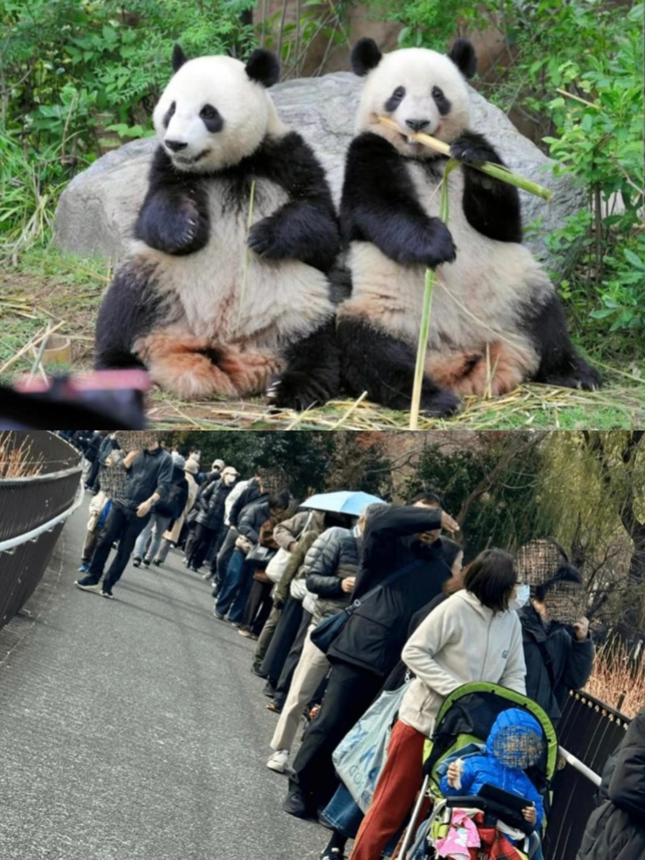 这场景像不像你离职那天？同事哭得稀里哗啦，你抱着箱子头也不回，心里只想赶紧溜