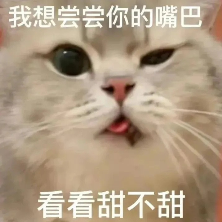 猫咪自恋表情包