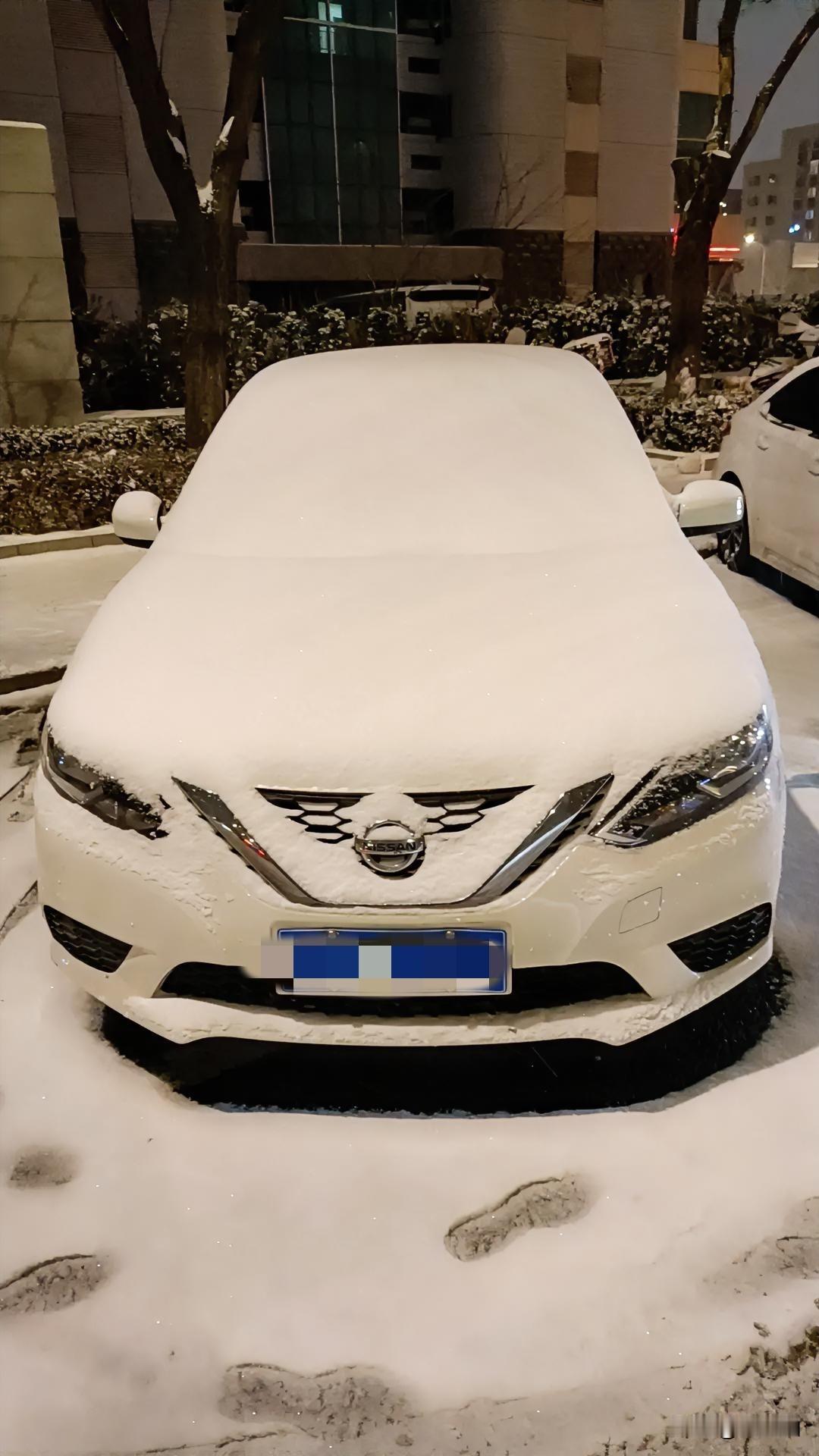 雪天汽车除雪，新手这么做才对！老手请直接忽略！总觉得除雪费劲儿还伤车？掌