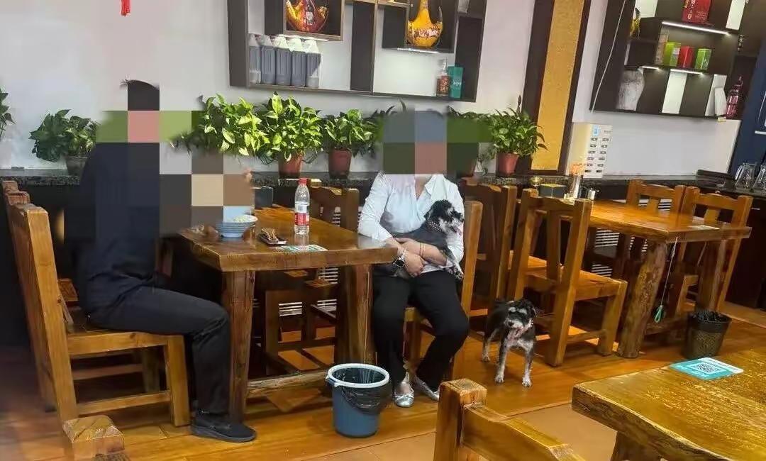山西大同，一家面馆里，一个男人在吃面，他老婆带着两只狗进来了，不吃面就说等儿子下