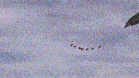 “光辉”坠机后，仅剩中俄战机完成飞行表演 21日的迪拜航展发生“光辉”战机坠