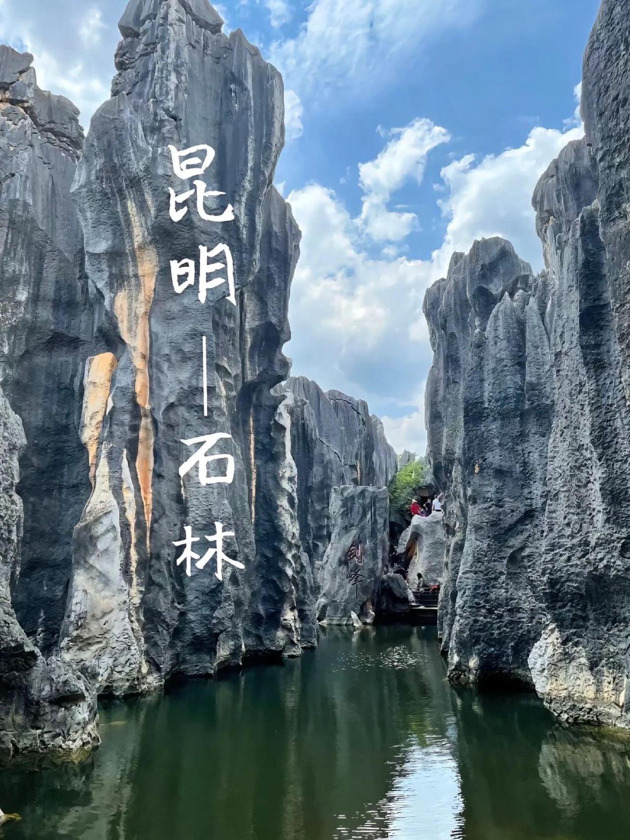 夏日生活打卡季昆明不愧是“春城”，夏日均温18-26℃，简直是避暑的天堂。