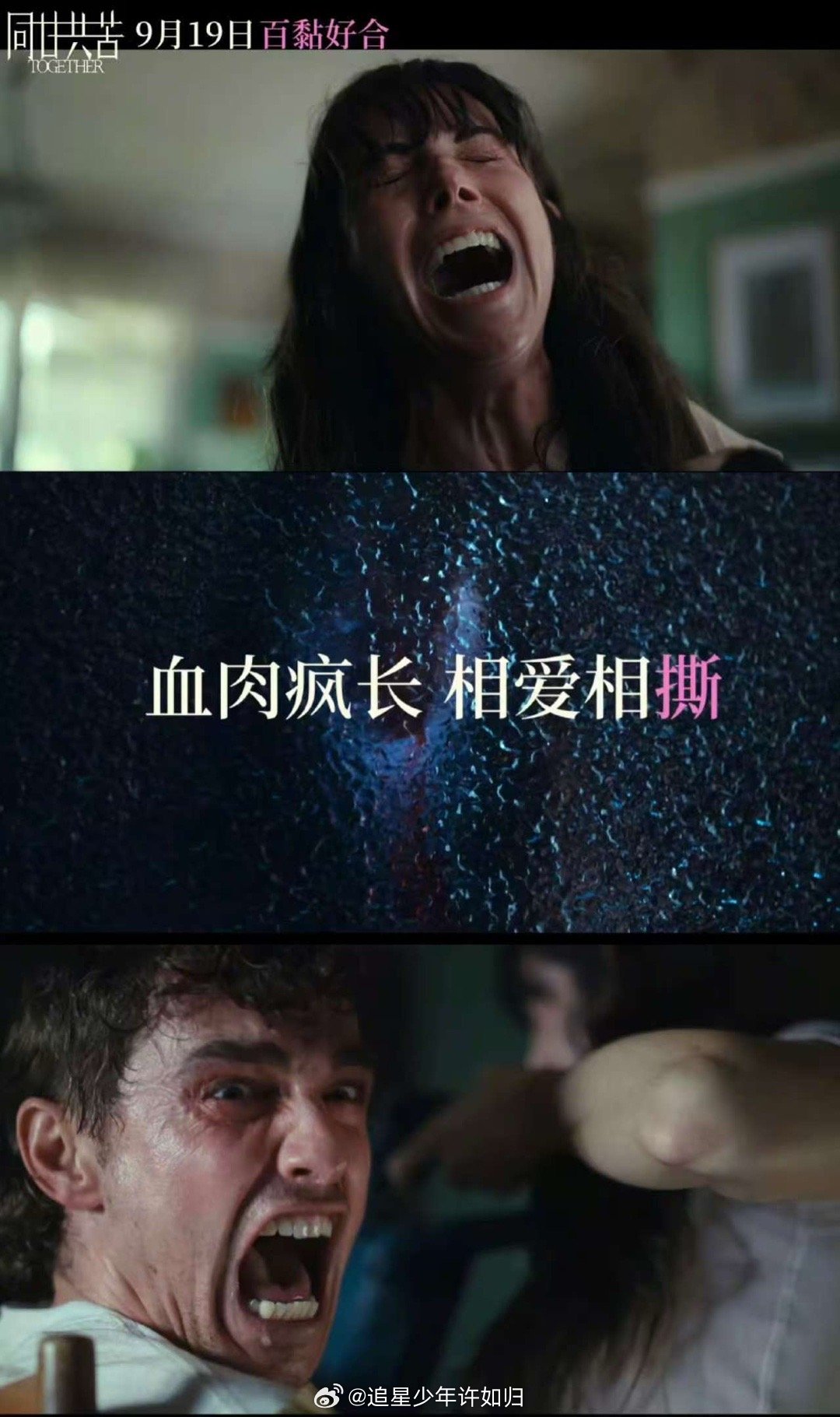 第一次对电影审查开放有了实感烂番茄开局100%新鲜认证的同甘共苦要上映啦，猎奇
