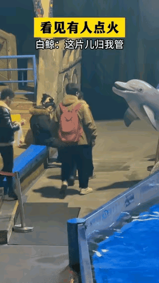 这个男人的吸烟行为，不仅是人神共愤，连白鲸都看不惯了，于是这头白鲸用它的方式，对