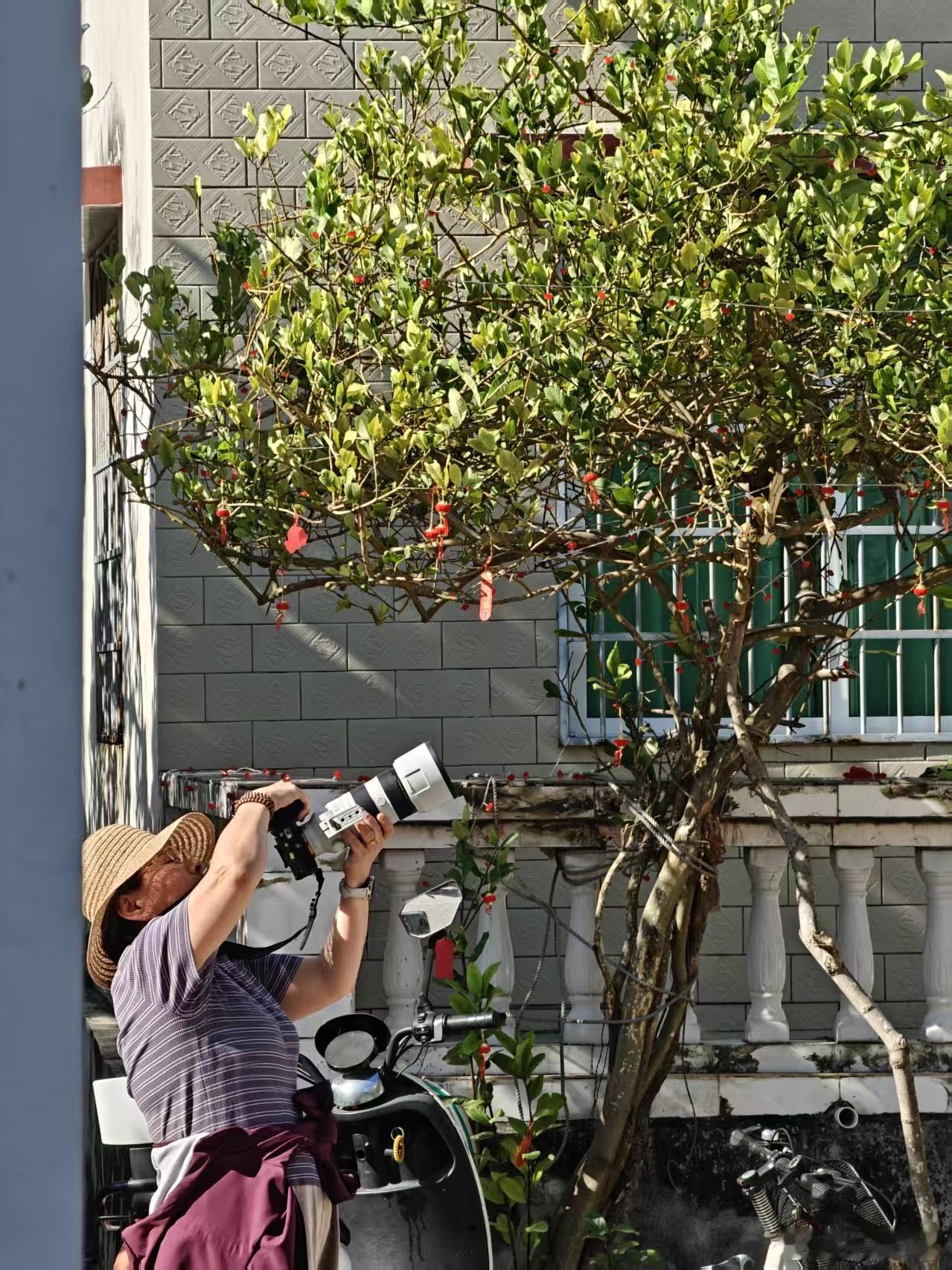 民宿的一位客人的相机，发现中老年摄影爱好者的设备是最好的。