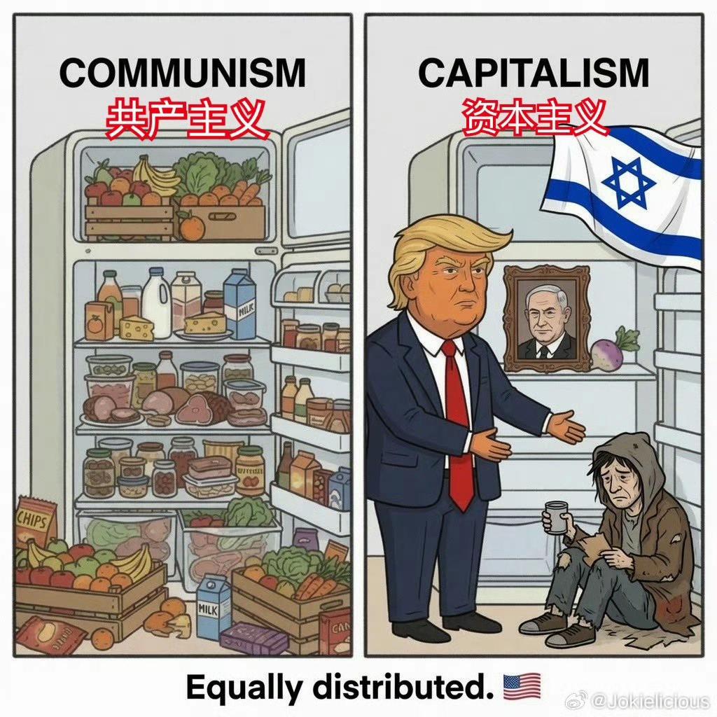 这个才符合现实[doge]