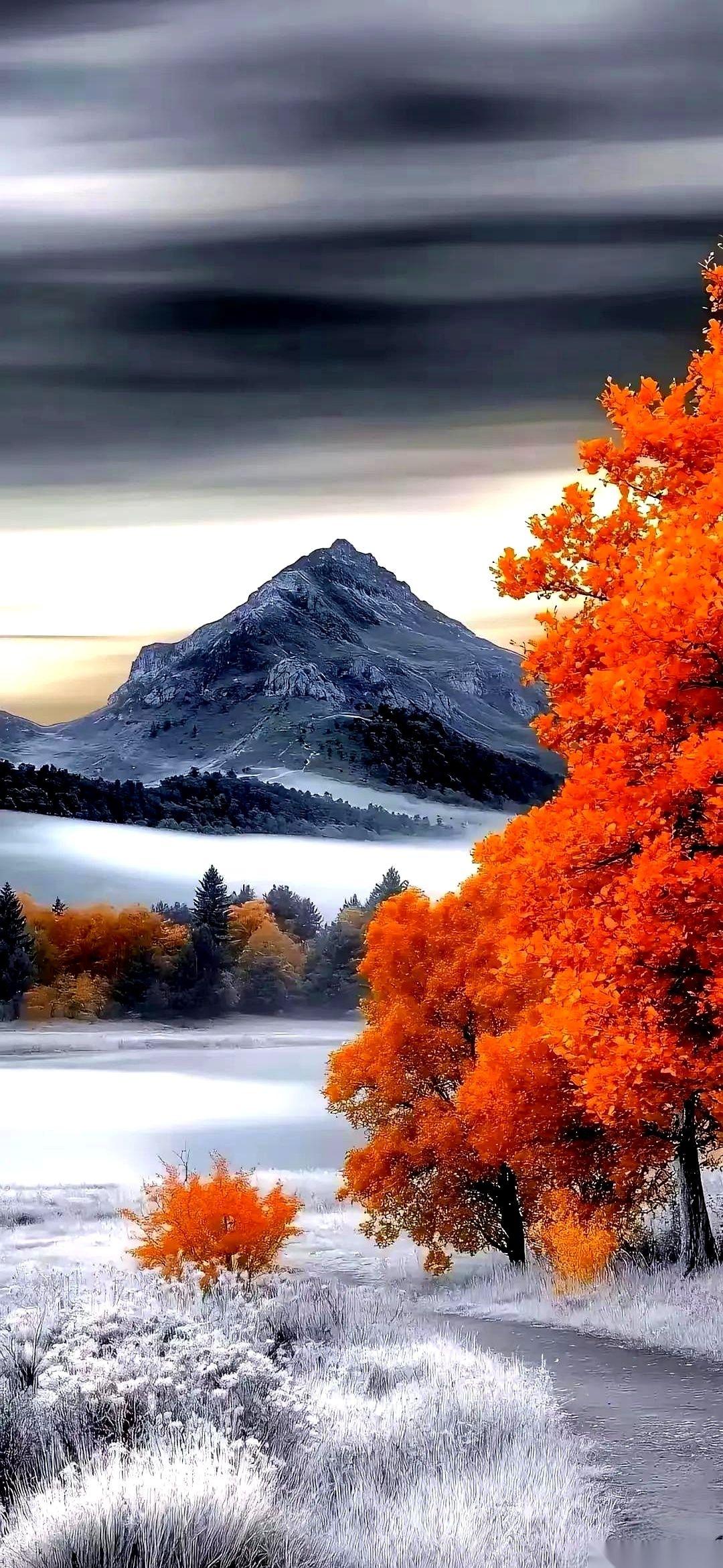 一个扎心的说法是，男人的欲望出口，只有两个方向。一个男人，如果在外面一事无成，