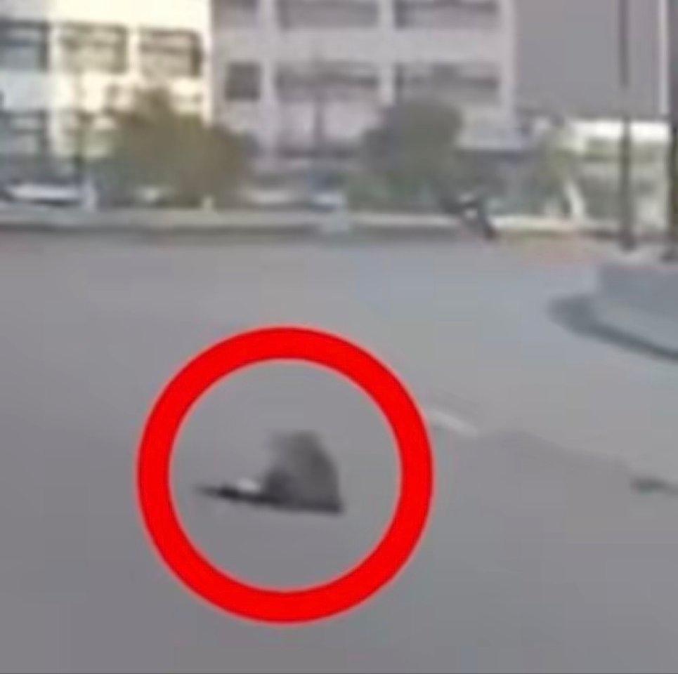 单车姑娘当场没救回来，大巴司机无酒无毒，仍以“危险驾驶致他人死亡”被拘，案件还在