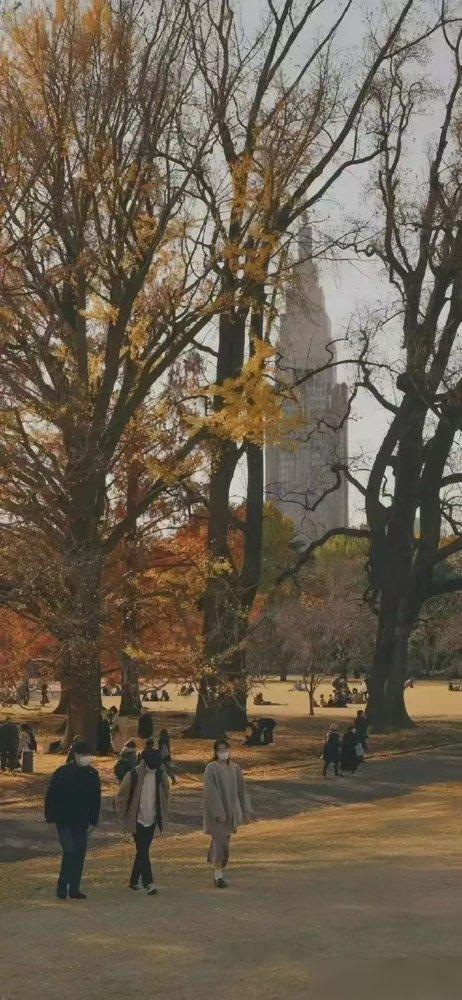 终生不进医院的“好习惯”!最近有人讲，只要每天换内裤、做提肛，就能一辈子不生