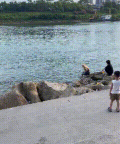广西贵港，大东码头溺亡的女孩，太可惜了，才14岁，两名同伴摊上事了！知情人透