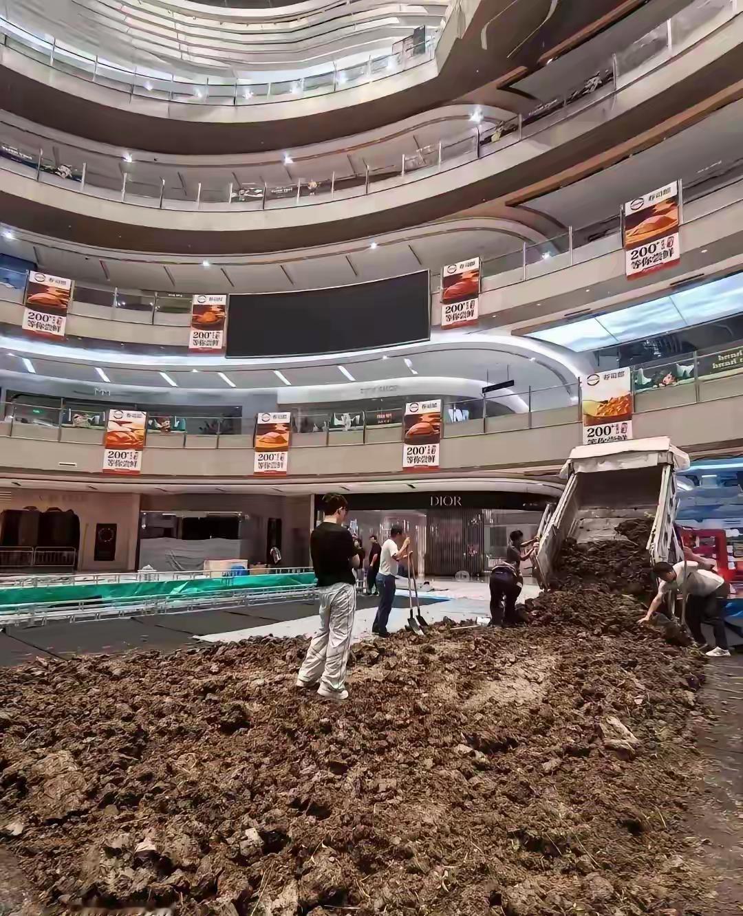 这里是浙江宁波的一个商场，在装修好了，营业中的商场的中庭里往里面的装土，这可是真