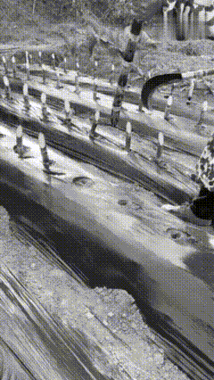 甘蔗竟然能竖着种，这可太新奇了。北方农业的这种独特做法背后，是不是藏着什么不为