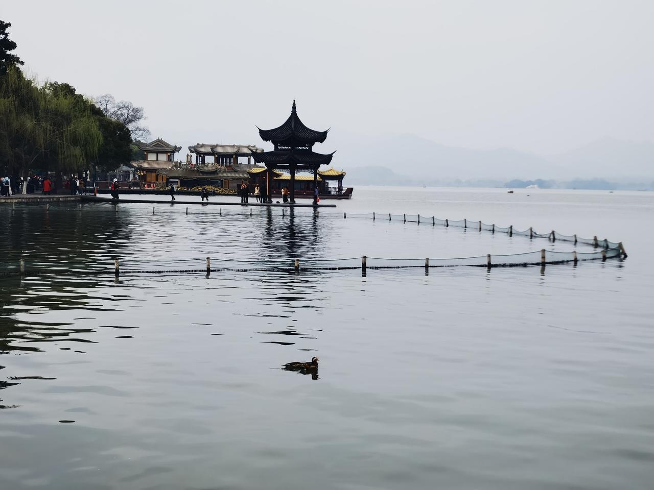 【热评】八年了，该追究哪些人的失察责任？政务大厅工作人员8年收好处费1614万