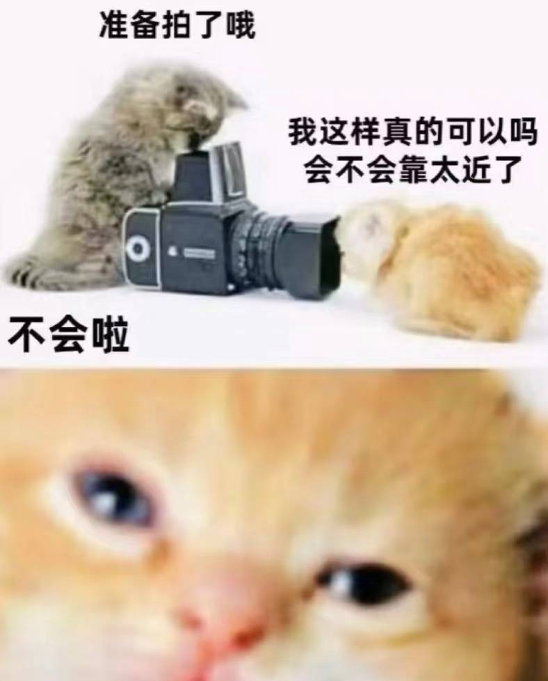 怼脸一个萌蛋？！摄影师你随便吧\