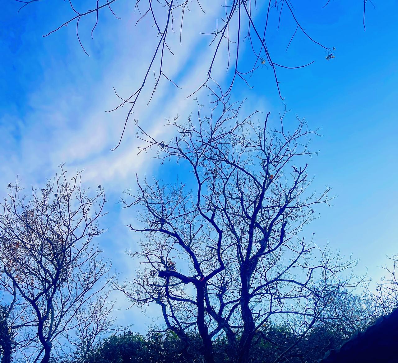 ：）究竟是事在人为？还是命中注定？回顾过往重大的人生选择突然发现那些曾经以