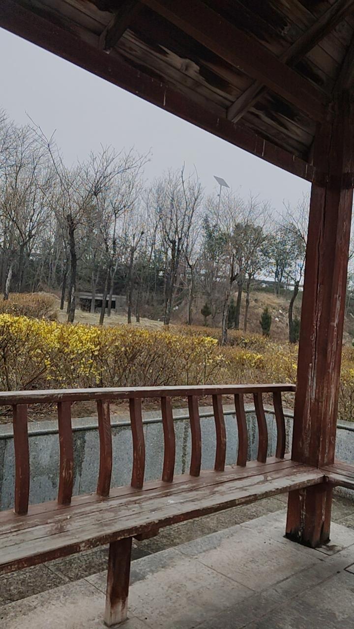 “小宋，这是你和啄木鸟见面的地方。”“好，暗号是什么？”“黄河远上白云间……