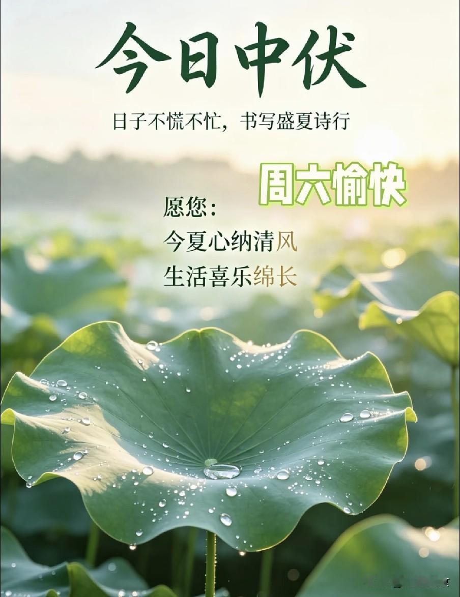 今日中伏，有空没空，记得：1不喝、2不吃、3不睡、4要做农谚说“冷在三九，