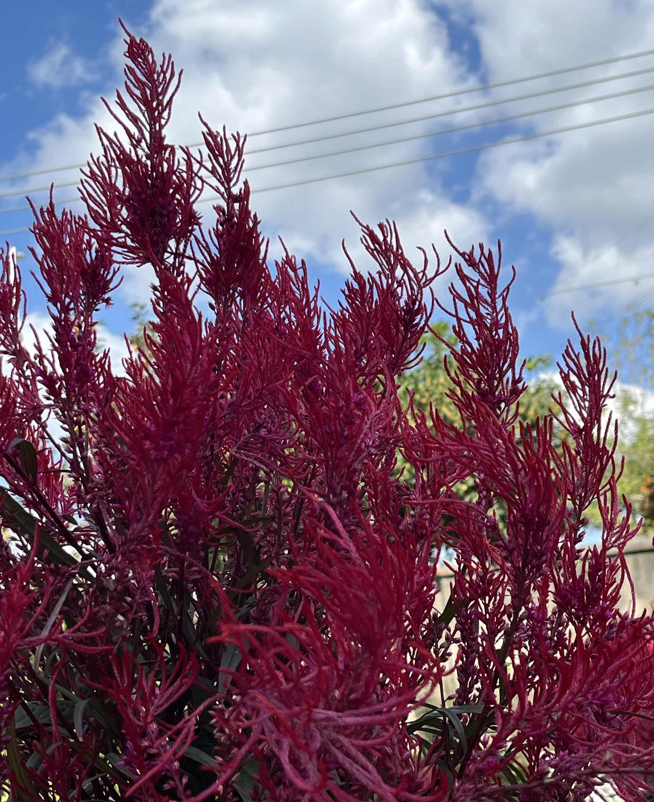 半夜被气醒，我一脚踹在身旁男人的腿上。黑暗中他迷迷糊糊地问“怎么了”，而我盯着床