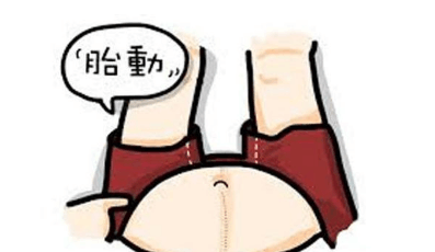 不同时期的胎动感觉! 教你数胎动判别宝宝男女!