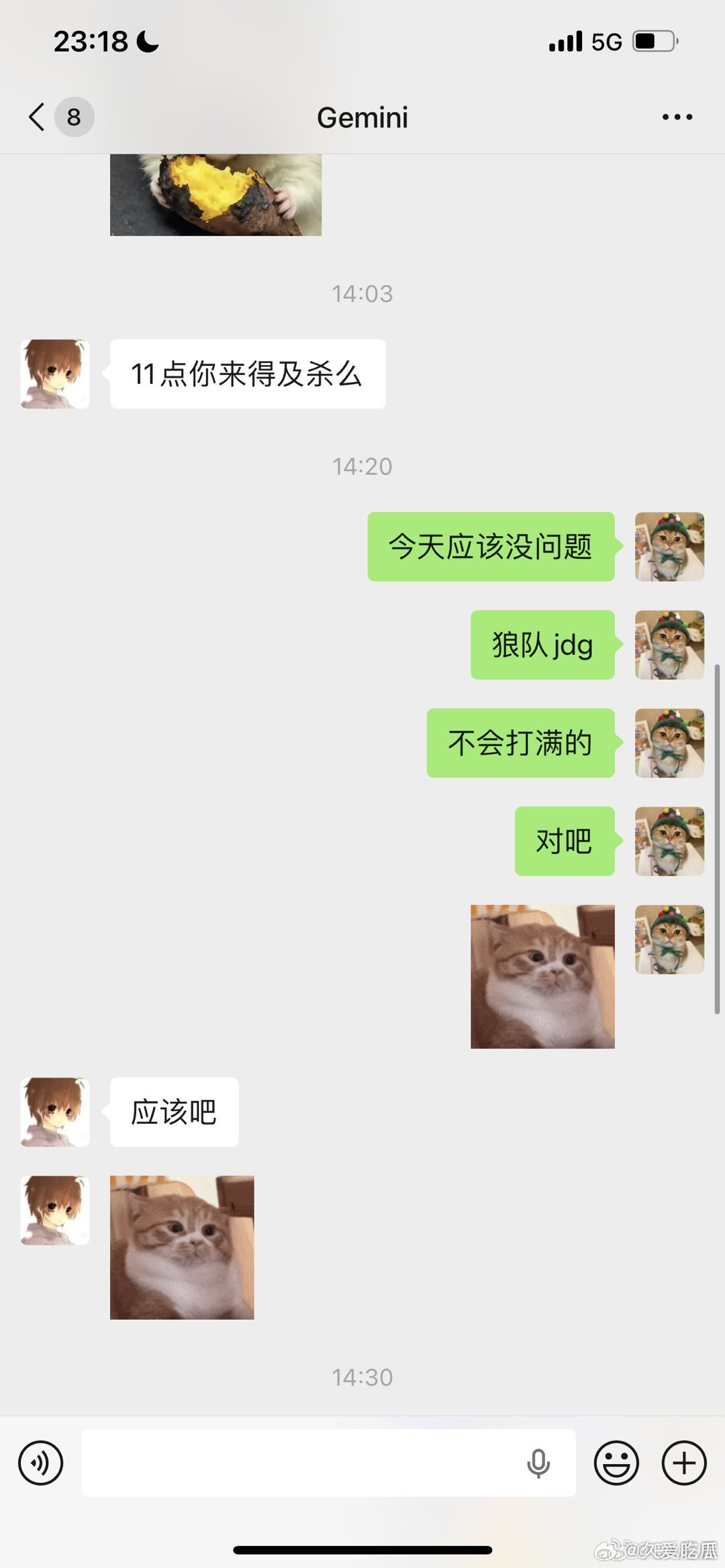 居居和鹌鹑的聊天记录