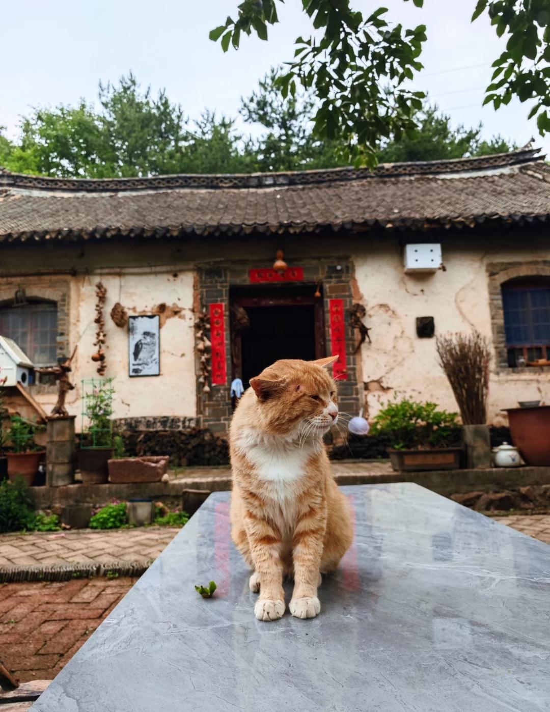 真没想到！姐夫当兵20年转业回家，每月躺赚12000部队工资，外加5000企业收